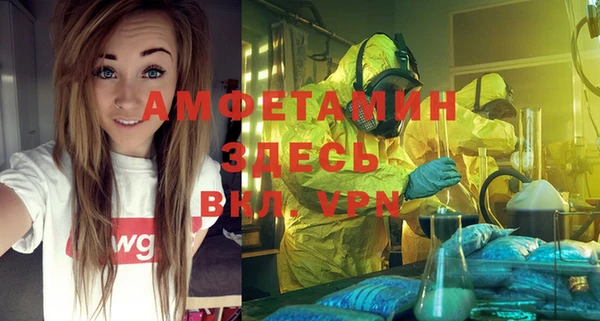 молекула духа Алзамай