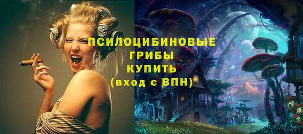 молекула духа Алзамай
