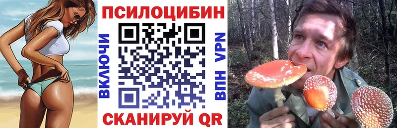 купить наркоту  Апрелевка  Галлюциногенные грибы прущие грибы 