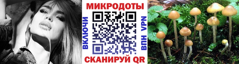 Галлюциногенные грибы ЛСД Апрелевка